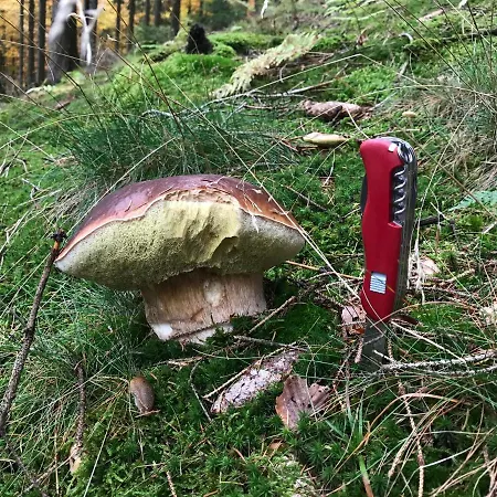 Silbach 温特贝格