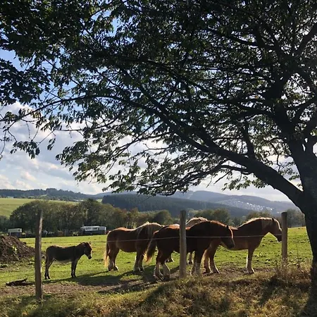 公寓 Silbach 温特贝格