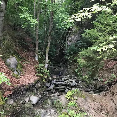 Silbach Apartman Winterberg