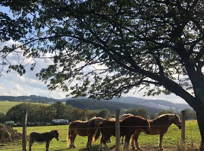 Lejlighed Silbach Winterberg