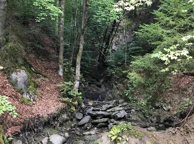 Silbach Lejlighed Winterberg