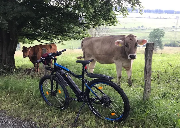 Appartamento Silbach *